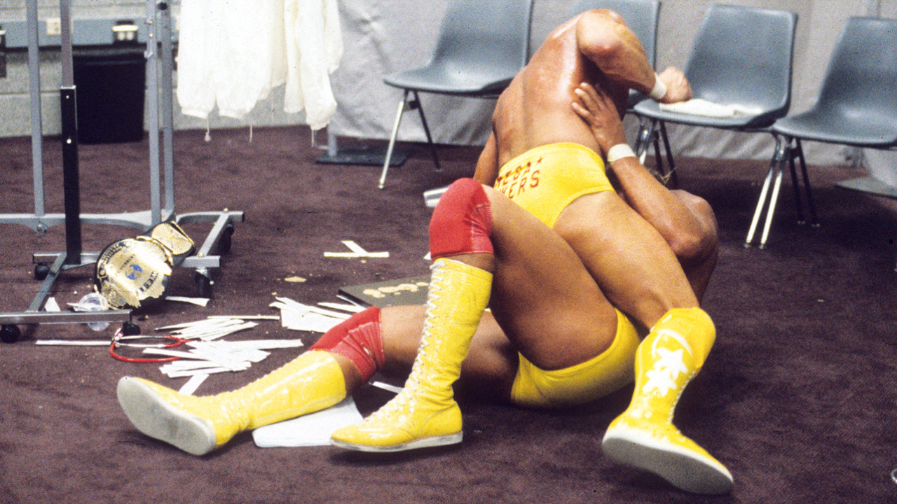 Hulk Hogan Randy Savage
