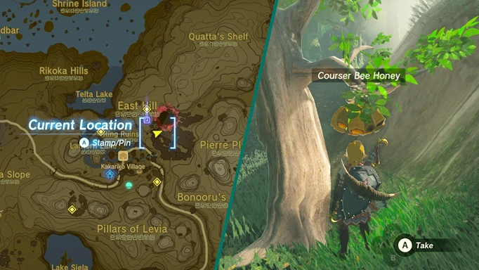 Screenshot des Rennerbienenhonigs und des Standorts der Rennerbienenhonigkarte in Zelda: Tears of the Kingdom