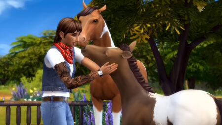 The Sims 4 Horse Ranch pre-order bonuses: All build mode items