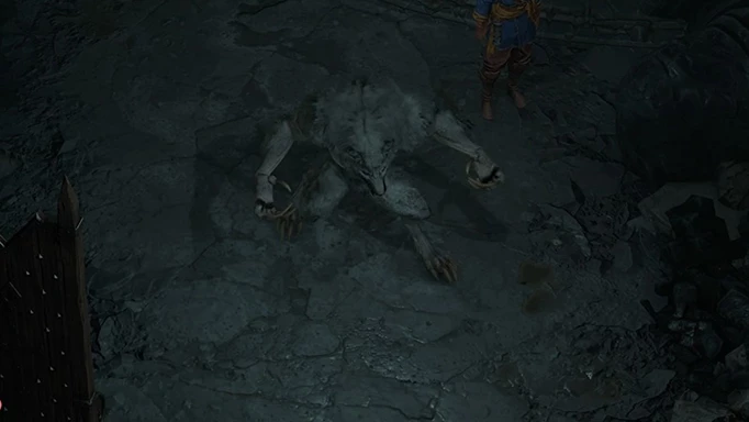 Ein Druide in Werwolfgestalt in Diablo 4